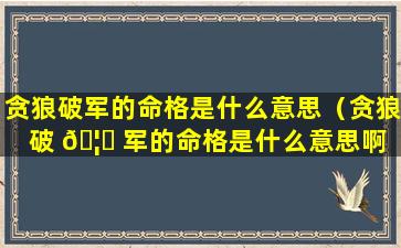 贪狼破军的命格是什么意思（贪狼破 🦟 军的命格是什么意思啊 🐧 ）